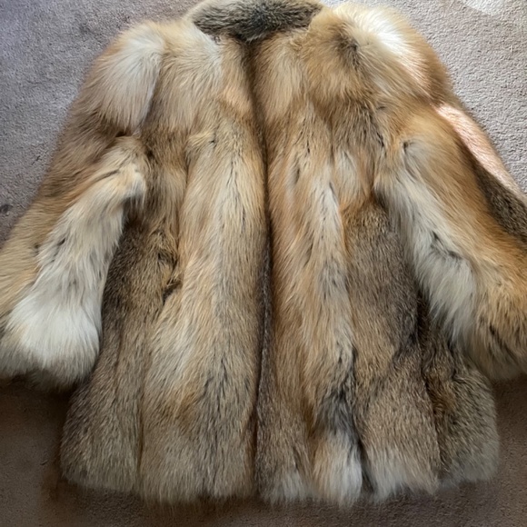 Beautiful Golden island fox coat - Picture 6 of 16